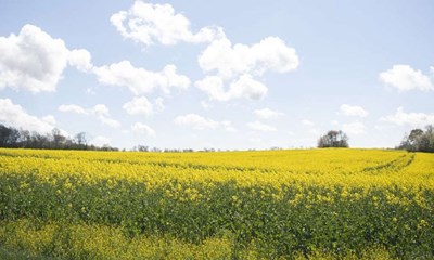 Solceller overtrumfer fortidsminder