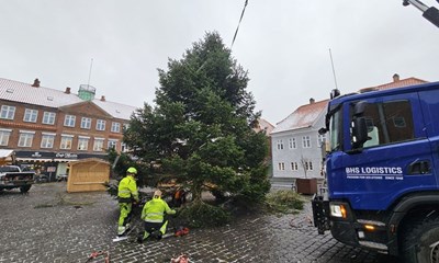'Det flotteste tr jeg har vret med til at stte op'