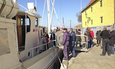 Peter blev aflst af Elephanten