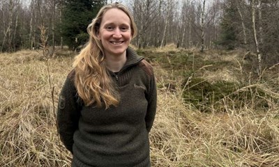 Kilometer af hegn bliver sat op i Almindingen