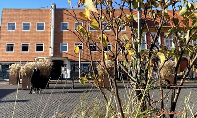 Musikhuzet bygger om: 'Vi �nsker at skabe et levende hus'