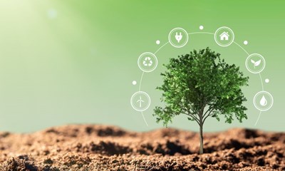 Hjemmets st�rste besparelser findes i el, internet og forsikring � Optimer dit budget