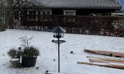 Se billeder fra vinterens f�rste snedag 