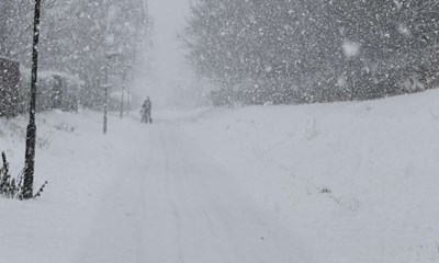 Affaldssystem p� stor pr�ve i Hasle