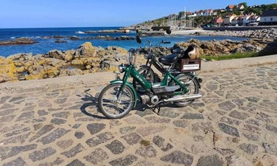 Gravgaard: Den hurtige knallert på havnen er velkommen