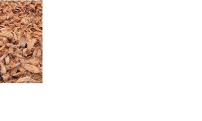 Hos Maxibag f�r du tr�flis og spagnum til haven 