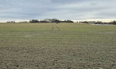 Smider millioner efter lodsejere: Flere handler p� vej