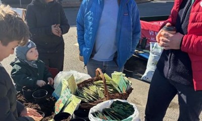 SF s�ede fr� hos v�lgerne