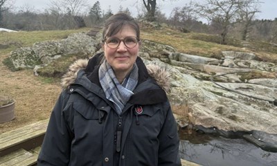 Svineopg�r: 'Har ikke brug for at blive lagt for had'