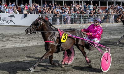 Alvorligt styrt p� travbanen