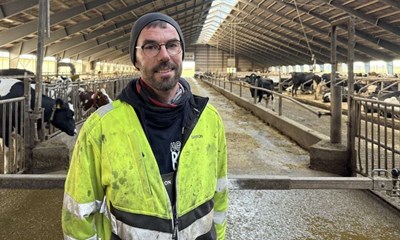 Her er prisen p� Borndal