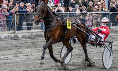 Store Mads-dag p� travbanen