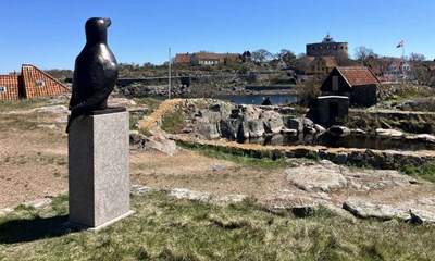 Ertholmene har f�et ny beboer 