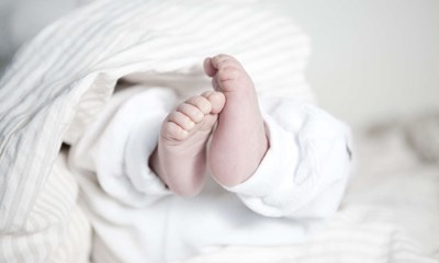 S mange fdsler forventer man i r