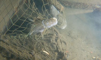 Fiskede fem ton net op: 'Stadig rigeligt at rydde op'