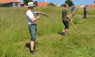 Sommerfuglemark hstes p gammeldags manr