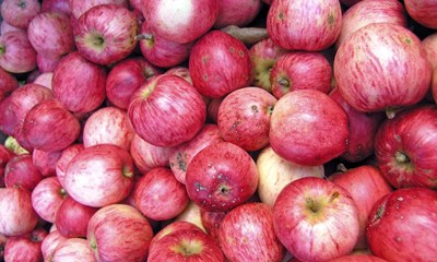 Blev afvist med 20 kilo bler: Her er svaret fra Bofa