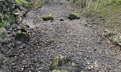 Bekymring: 'Har aldrig set en s tr'