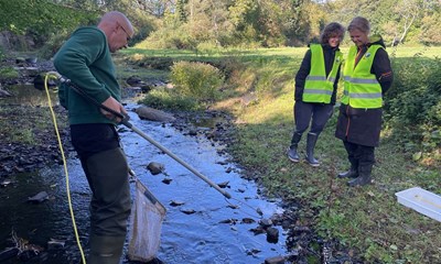 Hurtig handling krves: 'Brndende vigtigt'