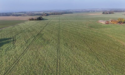 Landmnd bner for mulig handel