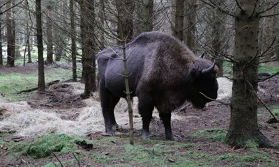 Minister fr kritik: Giver klart svar