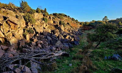 Dagens billede: Ravnedalen i efterrssol