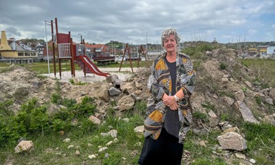 Formand: Nej, vi hader ikke flexboligejere