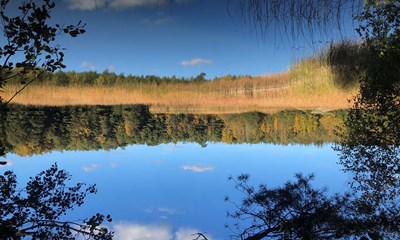 Dagens billede: P tur ved Skovly