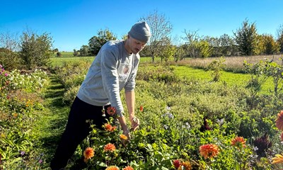 Han kbte grden online  nu blomstrer drmmen i stermarie