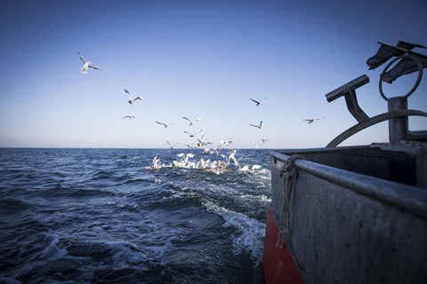 'Det her risikerer at blive en ddsdom' 