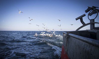 'Det her risikerer at blive en ddsdom' 