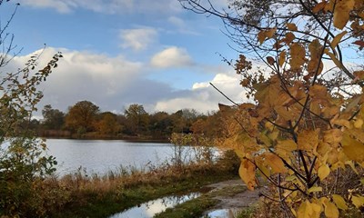Dagens billede: Stenbrudssen Nex