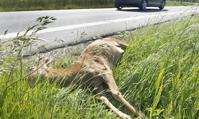 Bornholm p tredjeplads i ulykkesstatistik