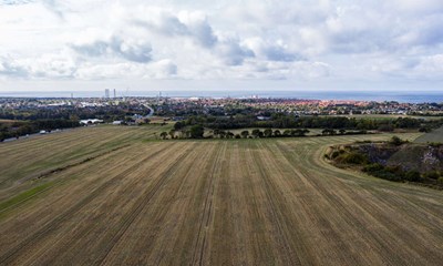 Vi skal ikke vre svinebundne