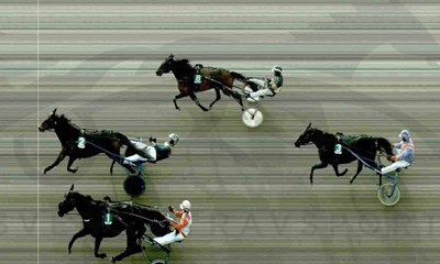 Cash For Dash vandt mlfotosejr i Malm