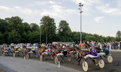 Frre gster p travbanen