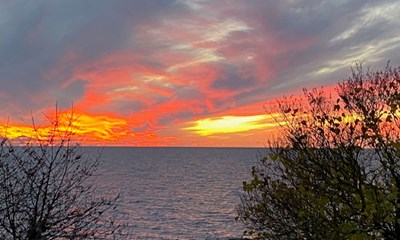 Dagens billede: November-bl ved Helligpeder