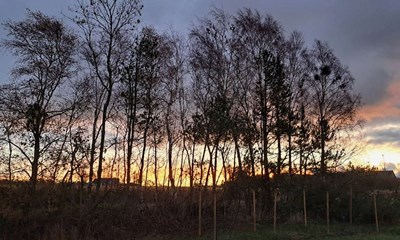 Dagens billede: Solopgangen ser fra Nyker