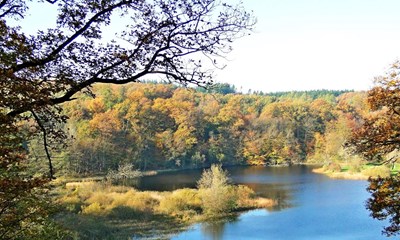 Rekordstor plan: Danmark skal lgges om