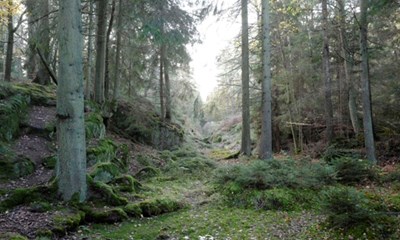 Nvn freder arealer i Paradisbakkerne 