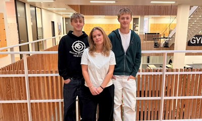 Presset af regler: 'Det fort�ller jo ikke hele historien'