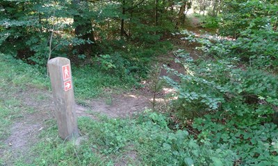 Unikt forlb: Populrt udflugtsml knopskyder