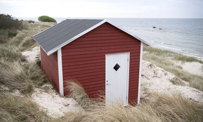 Naturen langs Gedebakkevej fortjener et sidste h�b