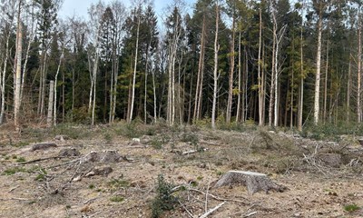 Vi er ved at �del�gge det