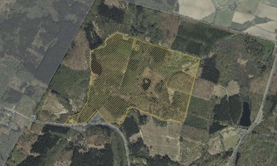 Gravgaard: Hegn, hensyn og helhed 