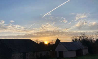 Dagens billede: Morgenstund med guld i mund