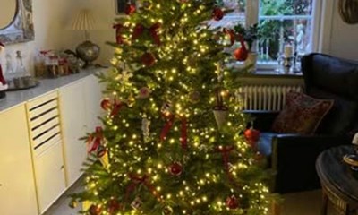 Her er l�sernes juletr�er