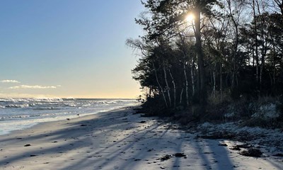 Dagens billede: Sk�n solskin langs Snogeb�k strand