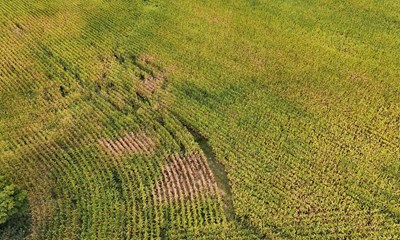 De bornholmske marker er kemiske �rkener