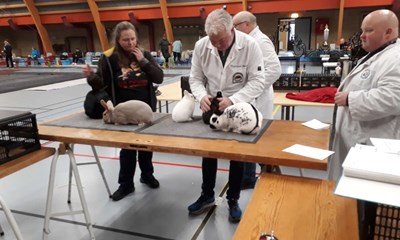 Weekendens dommere kommer fra Norge